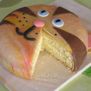 Dort - Pestrobarevná kočka, nakrojený dort