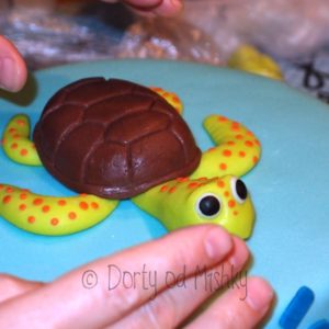 Želva s krunýřem